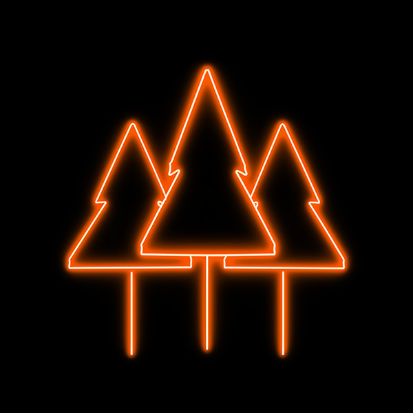 Grafik zur regionalen Softwareentwicklung im Schwarzwald und in der Region Offenburg